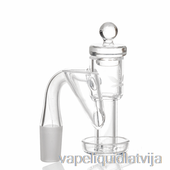 Lapu Pilienu Komplekts 14mm Male - 90 Vape šķidrums